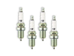 ACCEL HP Copper Spark Plug - Shorty - 14mm Thread, .750 in Reach - Gasket (flat) Seat - 4-Pack image 1