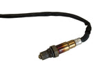 AEM X-Series OBDII Wideband AFR Gauge Kit image 6