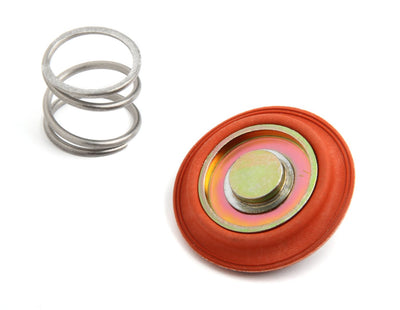 Regulator Rebuild Kit - Fits 12-841,12-842, 12-881, and 12-887 Fuel Pressure Regulators