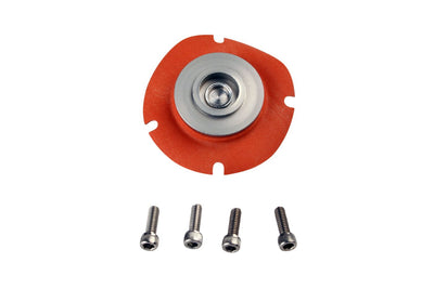 EFI Regulator Service Kit - EFI Regulator Repair Kit 13110, 13224, 13134, 13305.