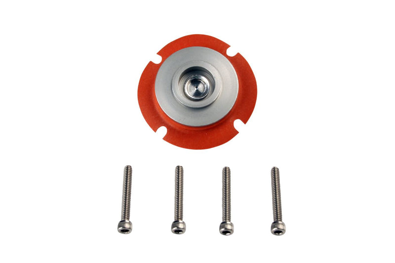 Carbureted Regulator Service Kit - Regulator Repair Kit 13204,13207,13254.