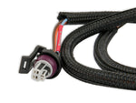 MSD Pressure Sensor - 0-75 PSI  - With Harness image 4