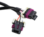 MSD 6LS Ignition Adapter Harness - Harness, LS2, 24x/1x, Front Cam Sensor image 2