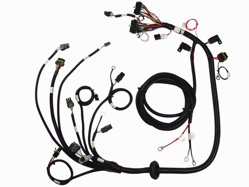 Wiring Harness W/Relay, Fast Main