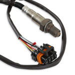 HP EFI ECU & Harness Kits - GM TPI and Holley Stealth Ram™, Includes Bosch Oxygen Sensor image 6