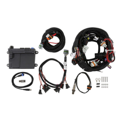 HP EFI ECU & Harness Kits - GM LS1/LS6 (24x crank sensor) with Jetronic/Minitimer (Bosch type) connectors on injector