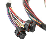 HP EFI ECU & Harness Kits - Unterminated Universal Harness, Includes NTK Oxygen Sensor image 3