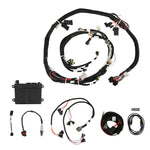 HP EFI ECU & Harness Kits - GM LS2/3/7 (58x crank sensor) with Jetronic/Minitimer (Bosch type) connectors on injector - Bosch Oxygen Sensor image 6