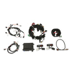 HP EFI ECU and Harness Kits - Complete 99-04 2 Valve Ford Modular Engine Plug and Play Kit - Jetronic 
