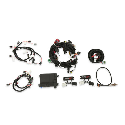 HP EFI ECU and Harness Kits - Complete 99-04 2 Valve Ford Modular Engine Plug and Play Kit - Jetronic 