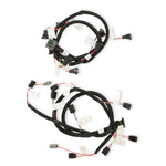 HP EFI ECU & Harness Kits - Complete 99-04 2 Valve Ford Modular Engine Plug and Play Kit - Jetronic 