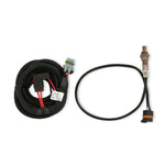 HP EFI ECU and Harness Kits - Complete 99-04 2 Valve Ford Modular Engine Plug and Play Kit - Jetronic 
