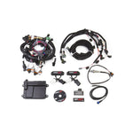 HP EFI ECU & Harness Kits - Complete 99-04 2 Valve Ford Modular Engine Plug and Play Kit - Jetronic 