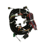 HP EFI ECU and Harness Kits - Complete 99-04 4 Valve Ford Modular Engine Plug and Play Kit - Jetronic 