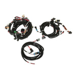 2011-2012 Ford Coyote Ti-VCT HP EFI Kit, NTK O2, USCAR INJ image 3