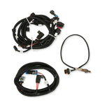 2013-2015.5 Ford Coyote Ti-VCT HP EFI Kit, NTK O2, USCAR INJ image 5
