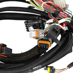 Ford Coyote Ti-VCT Capable HP EFI Kit, Bosch O2 image 3