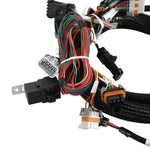 Ford Coyote Ti-VCT Capable HP EFI Kit, Bosch O2 image 4