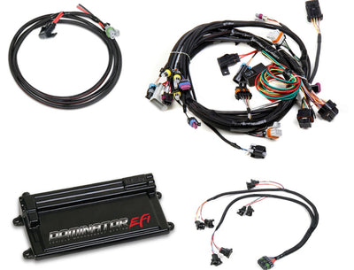 Dominator EFI Kit - LS1 Main Harness with EV1 Injector Harness