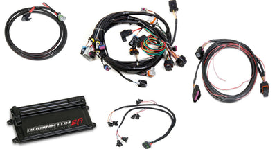Dominator EFI Kit - LS1 Main Harness w/ Trans and DBW with EV1 Injector Harness