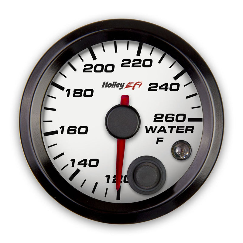 Holley EFI Coolant Temp Gauge - Standard 2-1/16