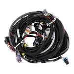 LS1/6 (24x/1x) Engine Main Harness image 3
