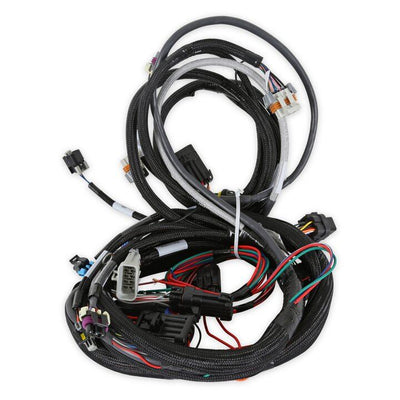 LS1/6 (24x/1x) Engine Main Harness