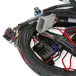 LS1/6 (24x/1x) Engine Main Harness image 4