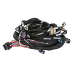 LS1/6 (24x/1x) Engine Main Harness image 2