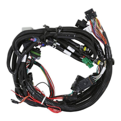 Universal MPFI Main Harness