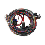 Unterminated Universal Main Harness image 2