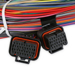Unterminated Universal Main Harness image 3