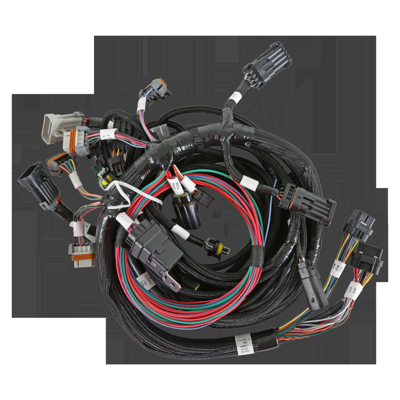 Ford 2V and 4V Modular Main Harness