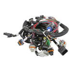 Ford 2V and 4V Modular Main Harness image 2
