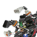 Ford 2V and 4V Modular Main Harness image 3