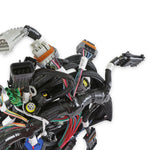 Ford 2V and 4V Modular Main Harness image 4