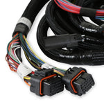 Ford 2V and 4V Modular Main Harness image 5