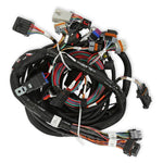Holley EFI Ford Coyote Engine Main Harness w/ Ti-VCT and Stock Coils (2011-2017) image 1
