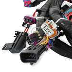Main Engine Harness for 24x LS w/ TBI image 3