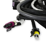 Main Engine Harness for 24x LS w/ TBI image 4
