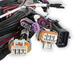 Main Engine Harness for 58x LS w/ TBI image 3