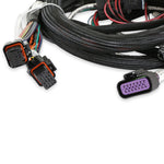 Main Engine Harness for 58x LS w/ TBI image 4