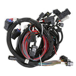 Ford Modular 2V and 4V Main Harness for use with Holley Smart Coils image 1