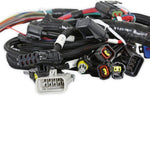 Ford Modular 2V and 4V Main Harness for use with Holley Smart Coils image 3