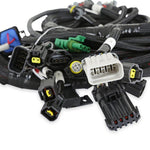 Ford Modular 2V and 4V Main Harness for use with Holley Smart Coils image 4
