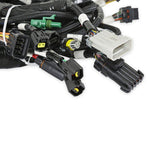 Ford Modular 2V and 4V Main Harness for use with Holley Smart Coils image 5