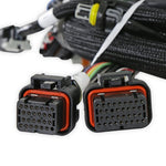 Universal MPFI Coil On Plug Main Harness image 3