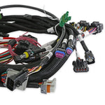 Universal MPFI Coil On Plug Main Harness image 4