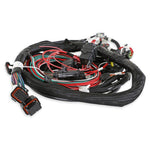Ford MPFI Coil On Plug Main Harness image 4