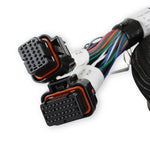 Ford MPFI Coil On Plug Main Harness image 5